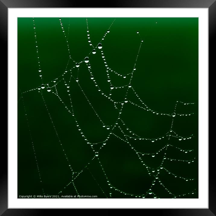 Enchanting Spider's Web Glistening with Dewdrops Framed Mounted Print by Mike Byers