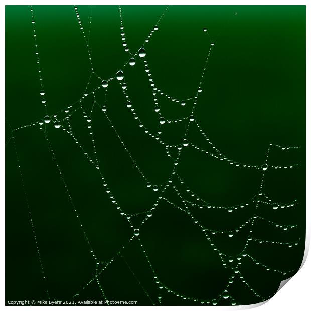 Enchanting Spider's Web Glistening with Dewdrops Print by Mike Byers