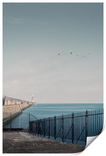 Tynemouth Pier and Lighthouse Print by Mark Jones
