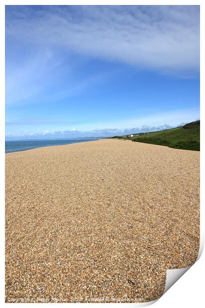 Golden Pebbles and Jurassic Coast Print by Roger Mechan