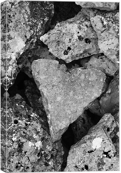 True loves stone Canvas Print by Craig Coleran