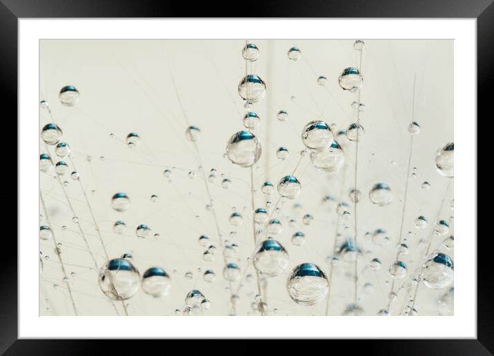 Fairy Drops Framed Mounted Print by Sharon Johnstone