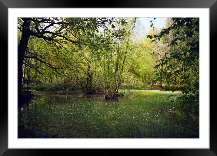 Fairy Tails Landscape Framed Mounted Print by Svetlana Sewell