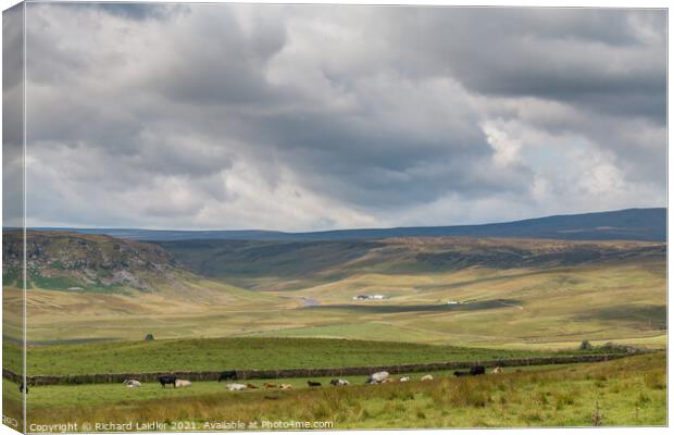 Towards Cronkley and Widdybank, Teesdale (1) Canvas Print by Richard Laidler