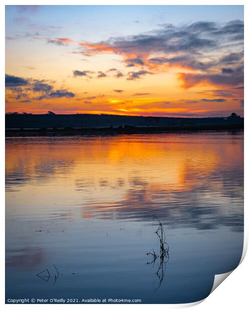 River Spey Estuary at Dusk Print by Peter O'Reilly