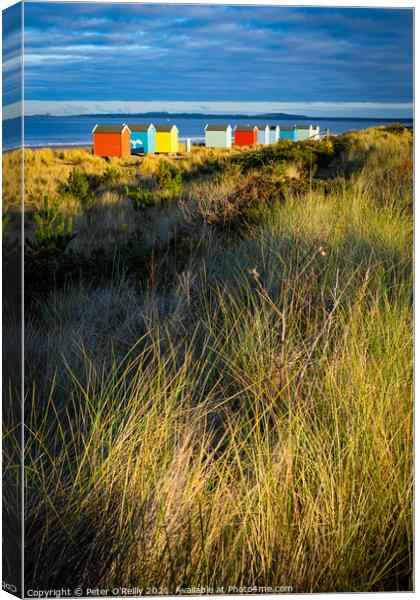 Beach Huts at Findhorn Canvas Print by Peter O'Reilly