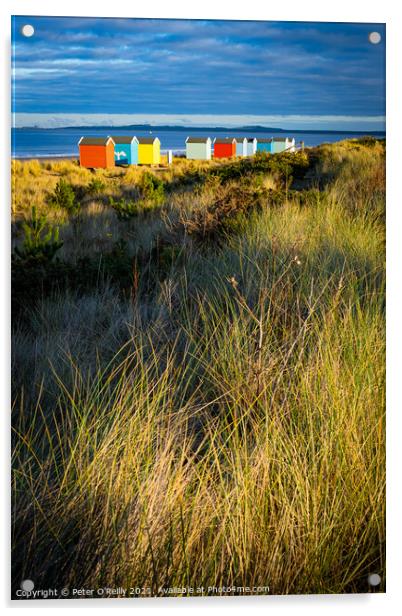 Beach Huts at Findhorn Acrylic by Peter O'Reilly
