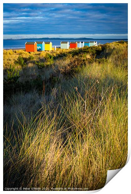 Beach Huts at Findhorn Print by Peter O'Reilly