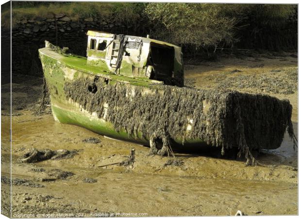Decaying Remnants of a Fishing Boat Canvas Print by Roger Mechan