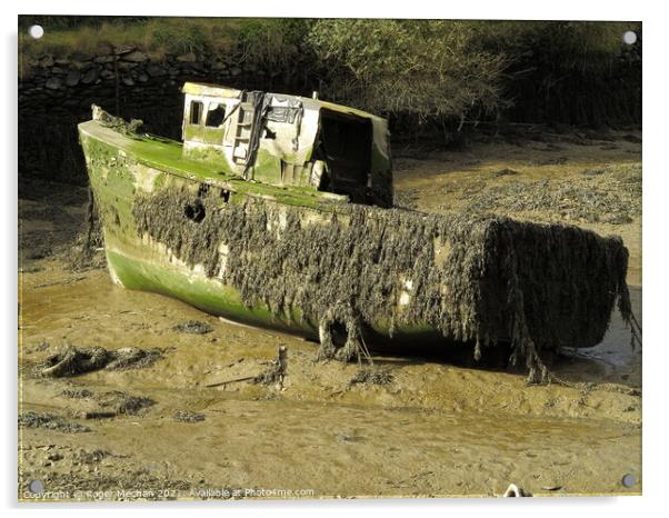 Decaying Remnants of a Fishing Boat Acrylic by Roger Mechan