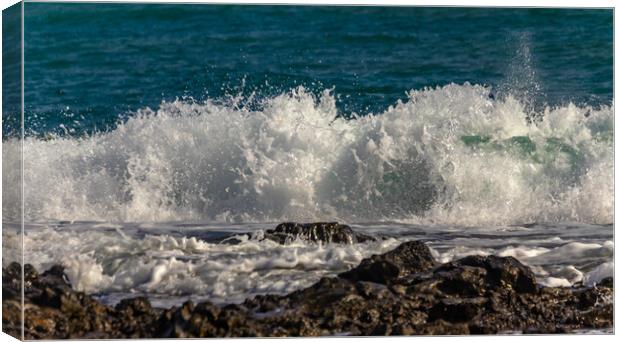 Surf on the rocks Canvas Print by Margaret Ryan