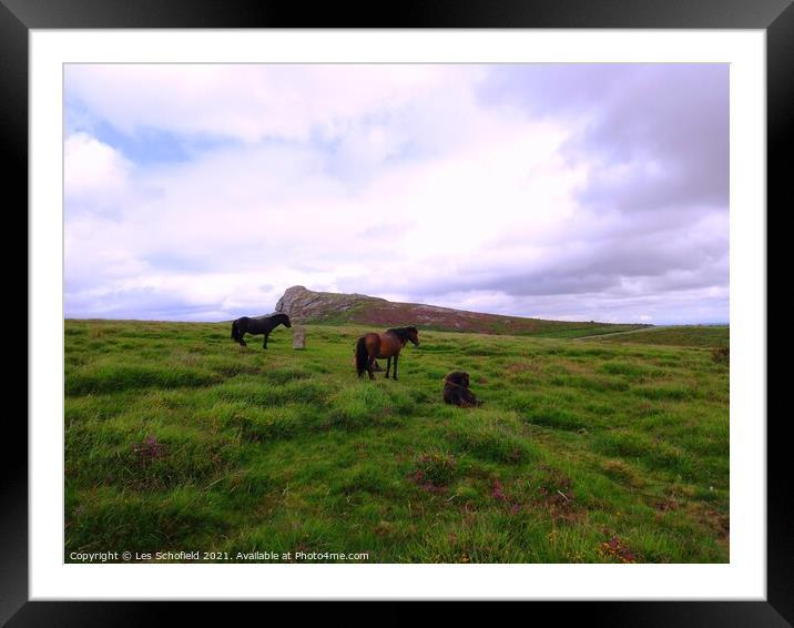Haytor and Dartmouth Ponies  Framed Mounted Print by Les Schofield