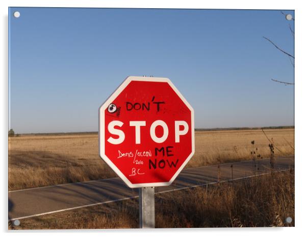 Playful Graffiti Interrupts Stop Sign Acrylic by Roger Mechan