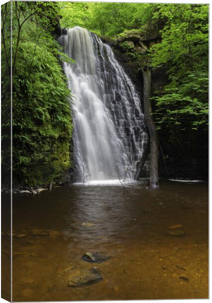 Falling Foss Canvas Print by Kevin Winter