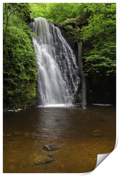 Falling Foss Print by Kevin Winter