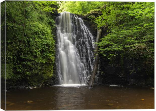 Falling Foss Canvas Print by Kevin Winter
