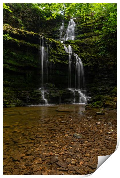 Scaleber Force Print by Kevin Winter