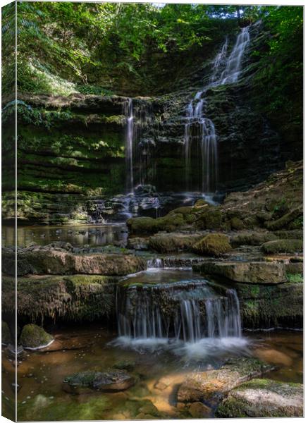Scaleber Force Canvas Print by Kevin Winter