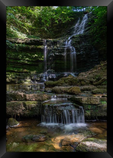 Scaleber Force Framed Print by Kevin Winter