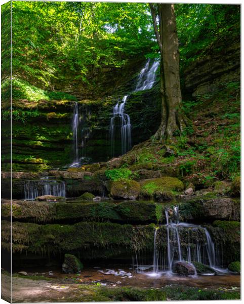Scaleber Force Canvas Print by Kevin Winter