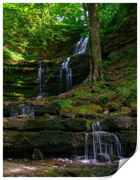 Scaleber Force Print by Kevin Winter