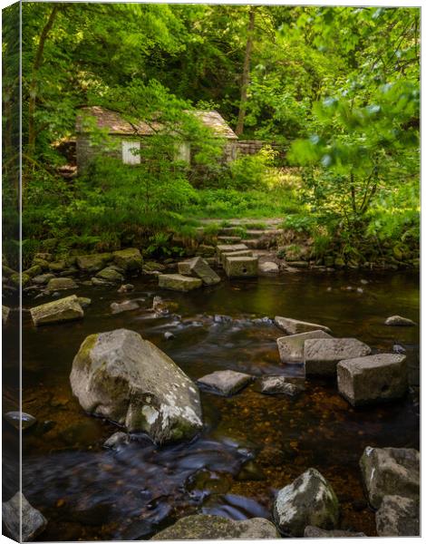 Hardcastle Crags  Canvas Print by Jason Thompson