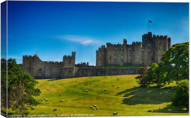 Alnwick Castle Canvas Print by Angela Wallace