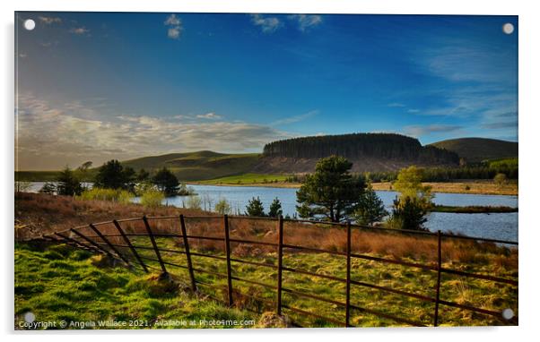 Cogra Moss Reservoir Cumbria Acrylic by Angela Wallace