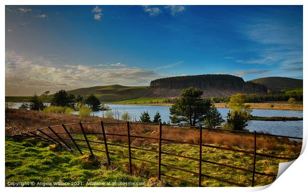 Cogra Moss Reservoir Cumbria Print by Angela Wallace