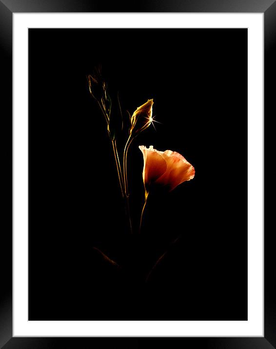 From Shadows To Light Framed Mounted Print by Aj’s Images