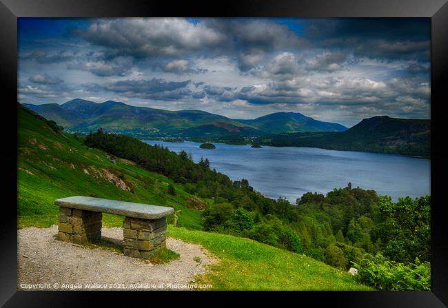 Bench overlooking Derwent water Lake District Framed Print by Angela Wallace