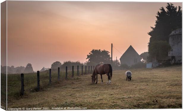 A Normandy Morning Canvas Print by Gary Parker