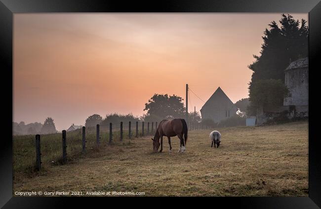 A Normandy Morning Framed Print by Gary Parker