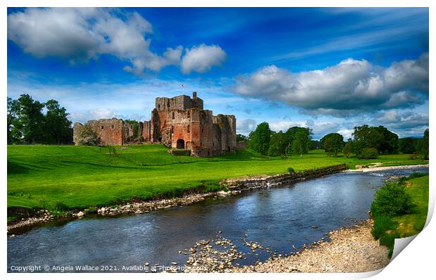 Brougham Castle Cumbria. Print by Angela Wallace