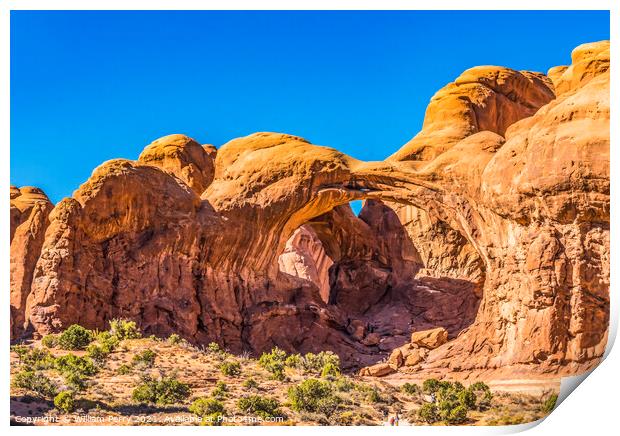 Delicate Arch Rock Canyon Arches National Park Moab Utah  Print by William Perry