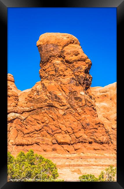Human Rock Formation Windows Section Arches National Park Moab U Framed Print by William Perry