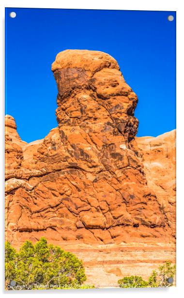 Human Rock Formation Windows Section Arches National Park Moab U Acrylic by William Perry