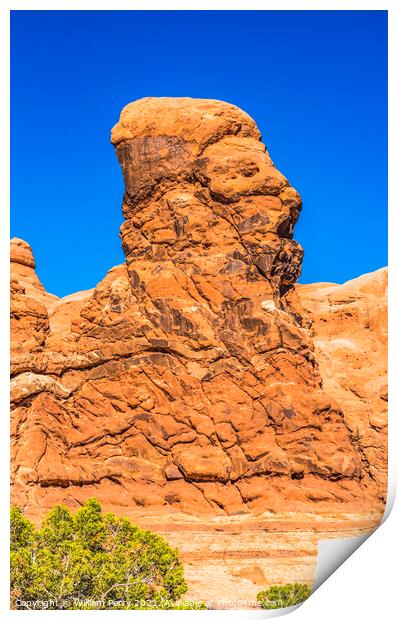 Human Rock Formation Windows Section Arches National Park Moab U Print by William Perry