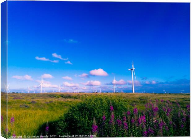 Outdoor field with wind farms  Canvas Print by Paddy 