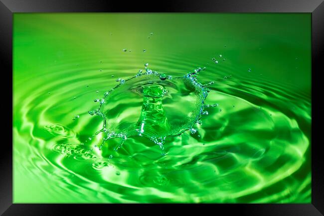 Green Water Drop Collision Framed Print by Antonio Ribeiro