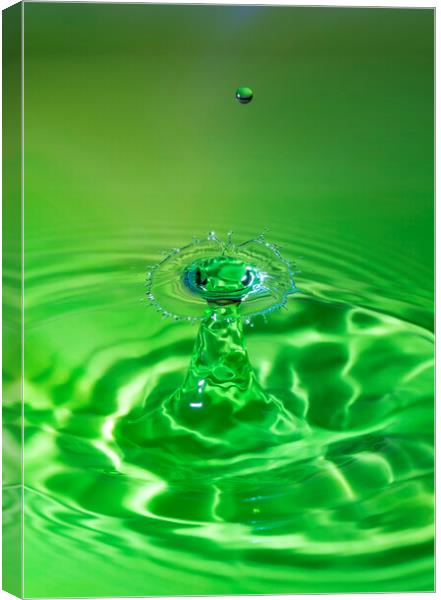 Green Water Drop Collision Canvas Print by Antonio Ribeiro