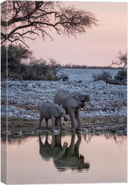 Mama Elephant and Calf Drinking Together, No. 3 Canvas Print by Belinda Greb