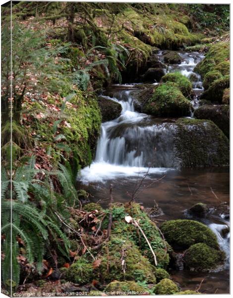 Mossy Waterfall Symphony Canvas Print by Roger Mechan