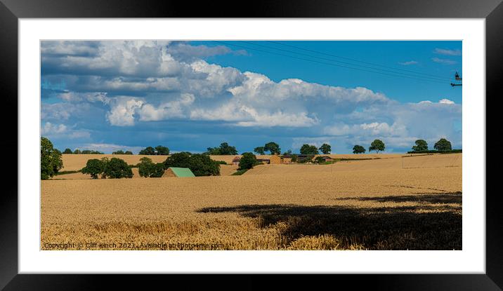 Serene Summer Wheat Field Framed Mounted Print by Cliff Kinch