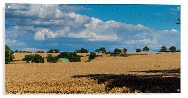 Serene Summer Wheat Field Acrylic by Cliff Kinch