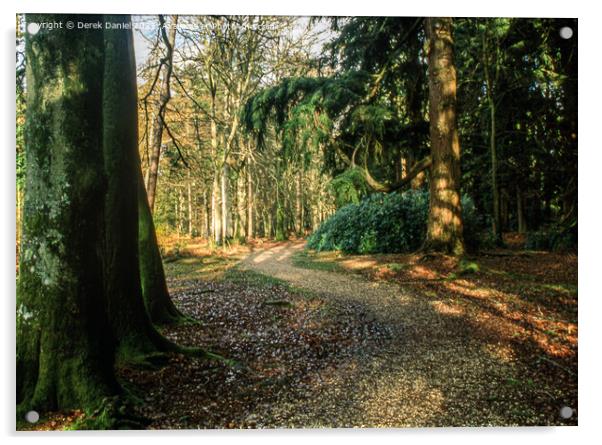 A Walk Through The New Forest Acrylic by Derek Daniel
