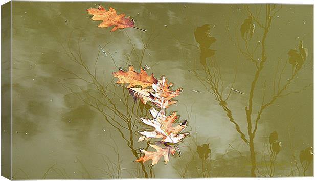 To Every Season There Is Change Canvas Print by Sharon Pfeiffer