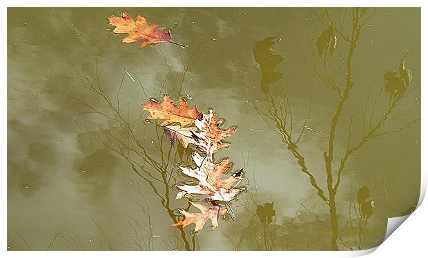 To Every Season There Is Change Print by Sharon Pfeiffer