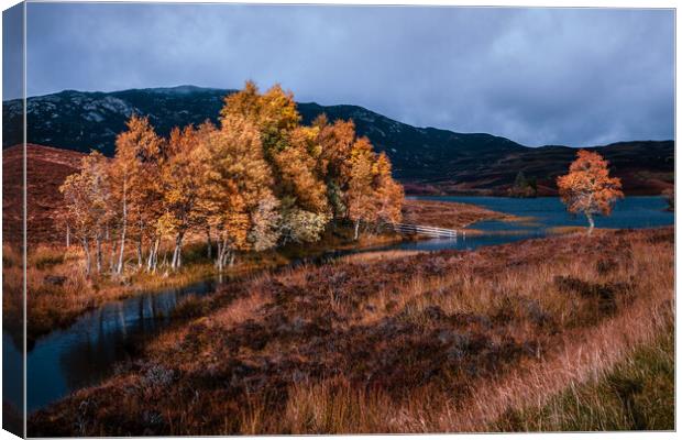 Loch Tarff - Scottish Highlands Canvas Print by John Frid
