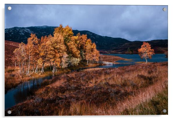 Loch Tarff - Scottish Highlands Acrylic by John Frid